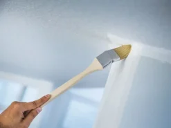 Discount LUX-TOOLS LUX Eckenpinsel Dispersion 50 mm