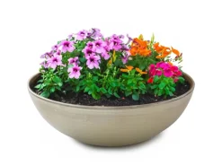 matches21 HOME&HOBBY Pflanzschale für Draussen in beige 20 x 7,5 cm