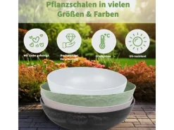 Online matches21 HOME&HOBBY Pflanzschale für Draussen in Alt-Rosa Marmoriert 30 x 9 cm Altrosa