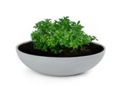 matches21 HOME&HOBBY Pflanzschale für Draussen in Hell-Grau Marmoriert 30 x 9 cm