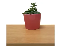 New Möbelbauplatte 260 cm x 40 cm x 1,9 cm Buche Holznachbildung