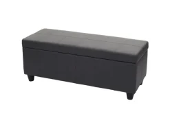 MCW Aufbewahrungs-Truhe Kriens Kunstleder 45x114x45cm Matt