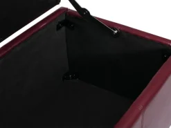 MCW Aufbewahrungs-Truhe Kriens XXL