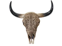 Sale MCW Deko Schädel C15 Longhorn