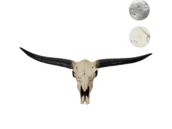 Outlet MCW Deko Schädel 132cm A14 Stier Naturfarben
