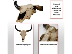 MCW Deko Schädel 45cm T454 Stier Naturfarben