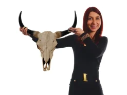 MCW Deko Schädel 45cm T454 Stier Naturfarben