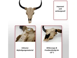 Clearance MCW Deko Schädel Longhorn Natur