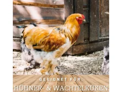 MeineHennen HENNEN VITAL EXZELLENT 15 Kg Premium Hühnerfutter und Wachtelfutter Körnerfutter Geflügelfutter Hennenfutter Alleinfutter für Hühner