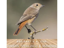 MeinWildvogel WILDVOGEL VITAL BASIC 15 Kg Vogelfutter Streufutter für Vögel Ganzjahresfutter und Perfekt für Kleine und Große Gartenvögel