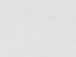 AS-Creation Meistervlies Protect Vliestapete Flächenputz FSC®