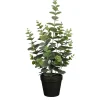 Mica Decorations Eucalyptus im Topf Grün 53 Ø 23 cm
