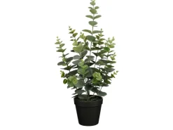 Mica Decorations Eucalyptus im Topf Grün 53 Ø 23 cm