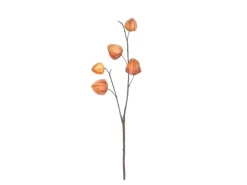 Online Mica Decorations Kunstblume Chinesische Laterne 40 cm Braun