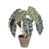 Outlet Mica Decorations Kunstpflanze Alocasia im Blumentopf Stan Ø 36 cm x 44 cm Grün