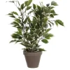 Mica Decorations Kunstpflanze Ficus Natasja in Topf Grün-Weiß H 40 cm, Ø: 30 cm
