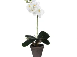 New Mica Decorations Kunstpflanze Phalaenopsis im Topf Ø 13 cm x 48 cm Weiß