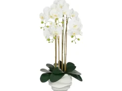 Mica Decorations Kunstpflanze Phalaenopsis In Topf 40 cm x 34 cm x 82 cm