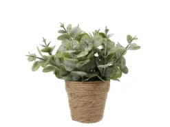 MICA Kunstpflanze Eucalyptus in Topf 20 cm x Ø 15 cm Grün