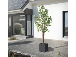 ML-Design Künstliche Eukalyptus 210cm Groß Kunstpflanze Naturholzstamm