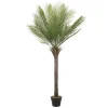 ML-Design Künstliche Palme 150 cm Groß Tropische Kunstpalme im Topf