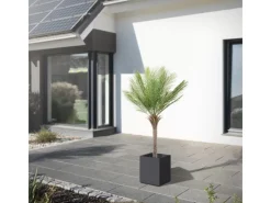 ML-Design Künstliche Palme 150 cm Groß Tropische Kunstpalme im Topf