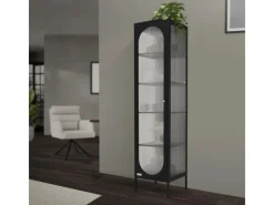 ML-Design Vitrinenschrank 42x175x40 cm Schwarz Schmale Vitrine Stahl