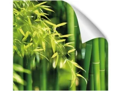 Myspotti Küchenrückwandfolie Bambus Selbstklebend 280 cm x 60 cm