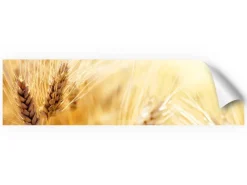 Myspotti Küchenrückwandfolie Korn Selbstklebend 220 cm x 60 cm