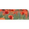 Myspotti Küchenrückwandfolie Mohn Selbstklebend 220 cm x 60 cm