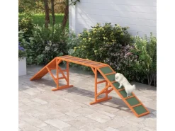 PawHut Hunde Agility Steg Tannenholz Orange 325L x 55B x 69H cm