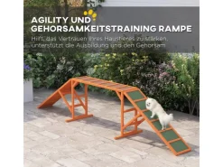 PawHut Hunde Agility Steg Tannenholz Orange 325L x 55B x 69H cm