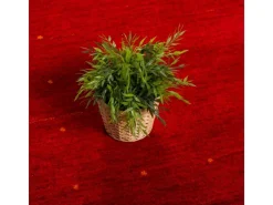 Discount Pergamon Natur Teppich Indo Gabbeh Indira Bordüre Rot 90x160cm