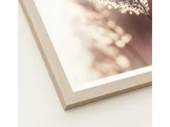 Sale Pro Art Bild Framed Art Dried Fiber 40 cm x 30 cm