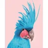 Sale Pro Art Dekopanel Blue Cockatoo 40 cm x 30 cm