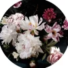 Outlet Pro Art Glasbild Baroque Flowers V Ø 30 cm