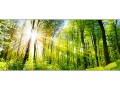 Clearance Pro Art Pro-Art Glasbild Towards the Sun 50 cm x 125 cm x 1,4 cm