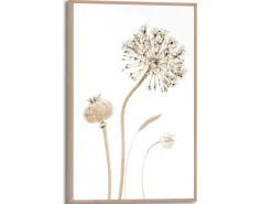 Online Reinders Gerahmtes Bild Trockenblumen für Wohnzimmer 30 cm x 20 cm Beige
