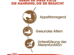 Online Royal Canin Ageing 12+ Trockenfutter für ältere Katzen 0,4 kg