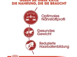 Royal Canin Fit Trockenfutter für aktive Katzen 2 kg