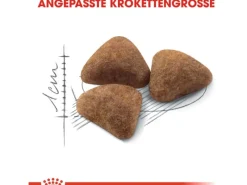 Sale Royal Canin Indoor 27 Trockenfutter für Wohnungskatzen 4 kg