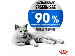 Royal Canin Light Weight Care Trockenfutter zu Übergewicht Neigenden Katzen 3 kg