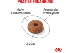 Royal Canin Light Weight Care Trockenfutter zu Übergewicht Neigenden Katzen 3 kg