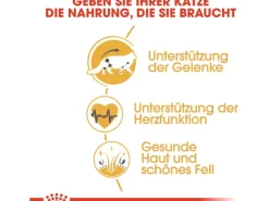 Royal Canin Maine Coon Adult Katzenfutter Trocken 10 kg