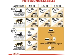 Royal Canin Maine Coon Adult Katzenfutter Trocken 10 kg