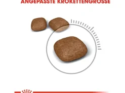 Royal Canin Urinary Care Katzenfutter Trocken Gesunde Harnwege 2 kg