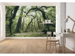 Sanders & Sanders Fototapete Wald Grün 450 x 280 cm 612685