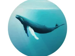 Discount Sanders & Sanders Selbstklebende Runde Tapete Wal Türkis Ø 125 cm 611797