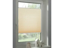 Schöner Wohnen Kollektion Schöner Wohnen Plissee Milla 120 cm x 130 cm