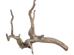 Sera Aquarien-Wurzel Scaper Root XS 18-20 cm